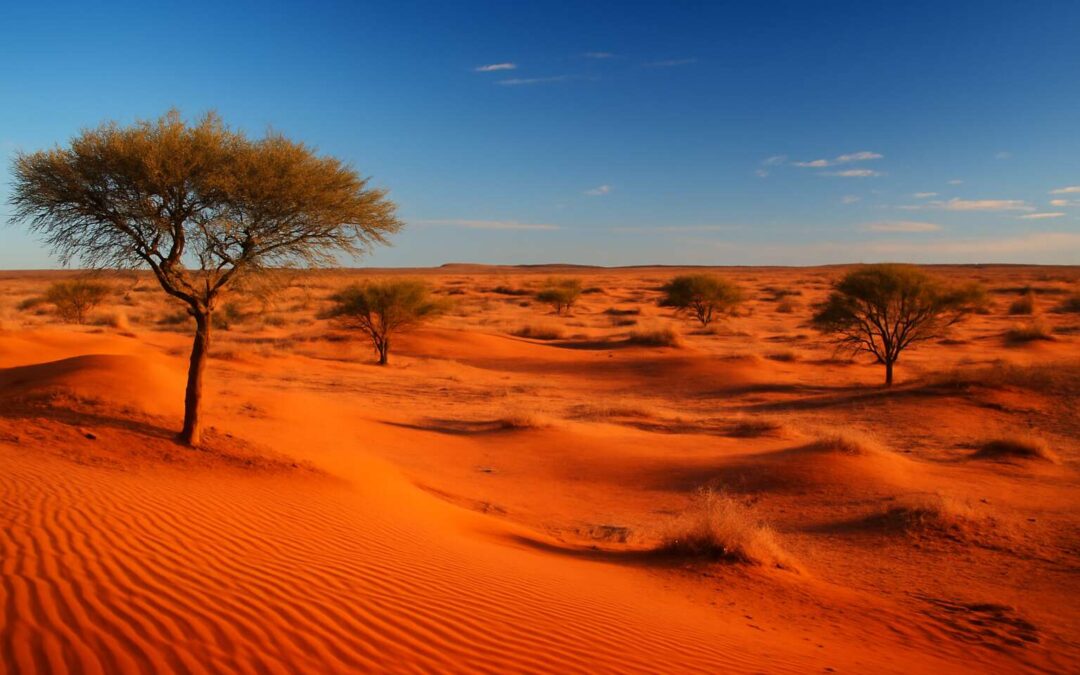 northern cape kalahari desert: a photographer’s guide to endless dunes, wildlife, and sunset skies.