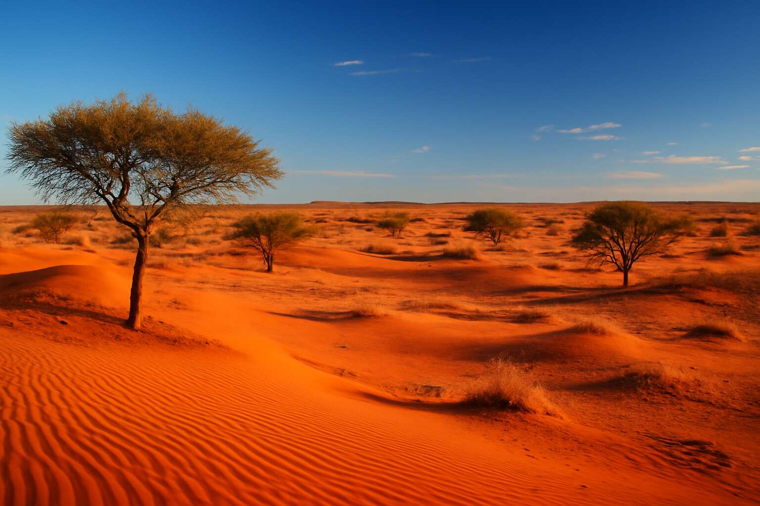 northern cape kalahari desert