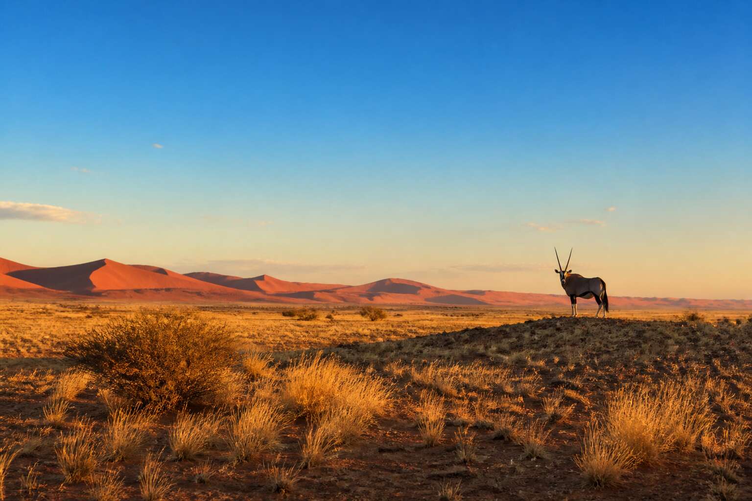 generated_image_6ab1c062ef433.jpg northern cape national parks