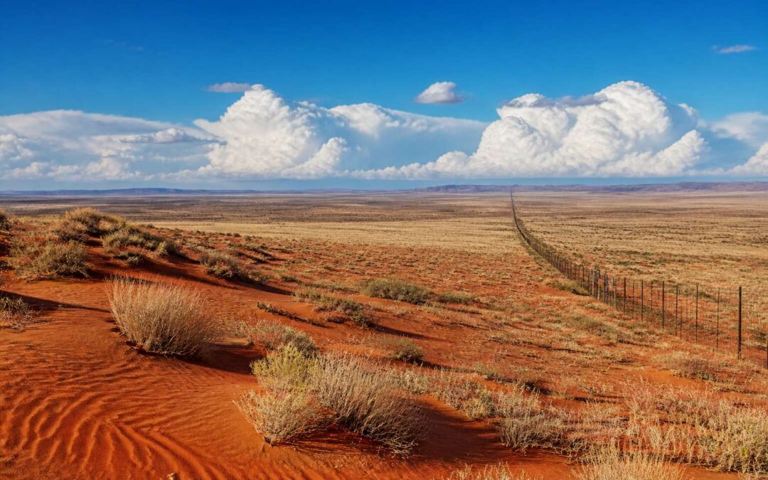 Discover the northern cape borders on your next road trip