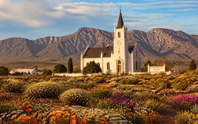 Calvinia Northern Cape: discover arid beauty, wild flowers, and stars.